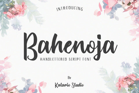 Bahenoja | Handwritten Script Font Font Katario Studio 