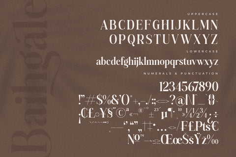 Baihgale Typeface Font Storytype Studio 