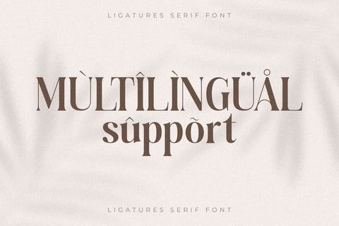 Baihgale Typeface Font Storytype Studio 