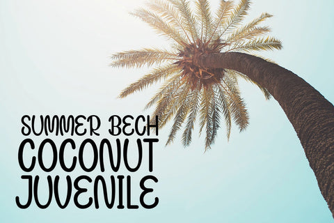 Baked Donuts Font JH-CreativeFont 