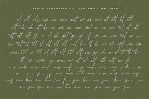 Baked Salmon - Monoline and Singleline font Font Subectype Studio 