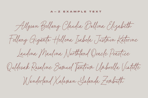 Baked Salmon - Monoline and Singleline font Font Subectype Studio 