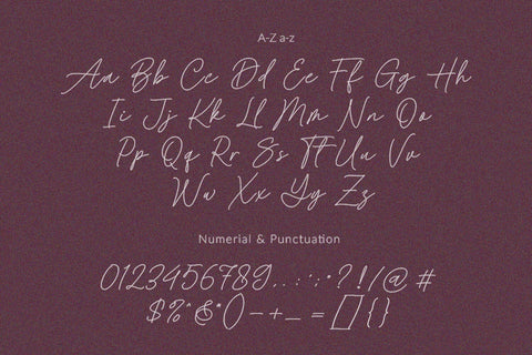 Baked Salmon - Monoline and Singleline font Font Subectype Studio 