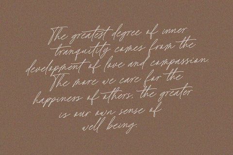 Baked Salmon - Monoline and Singleline font Font Subectype Studio 