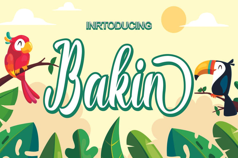 Bakin Font Rama Type 