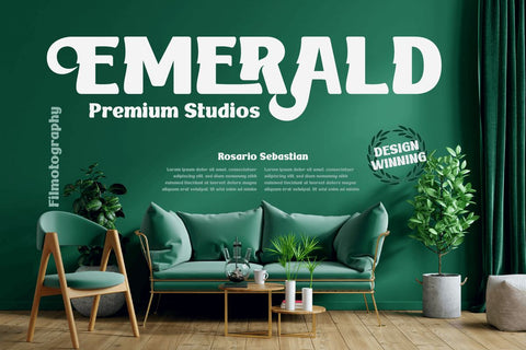 BAKRUV | Serif Classic Modernism Font twinletter 