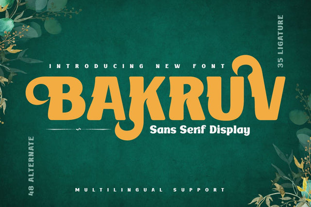 BAKRUV | Serif Classic Modernism Font twinletter 