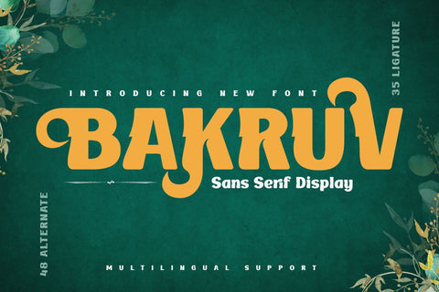 BAKRUV | Serif Classic Modernism Font twinletter 