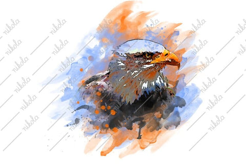 Bald Eagle Watercolor Sublimation Clipart PNG JPG Sublimation nikola 