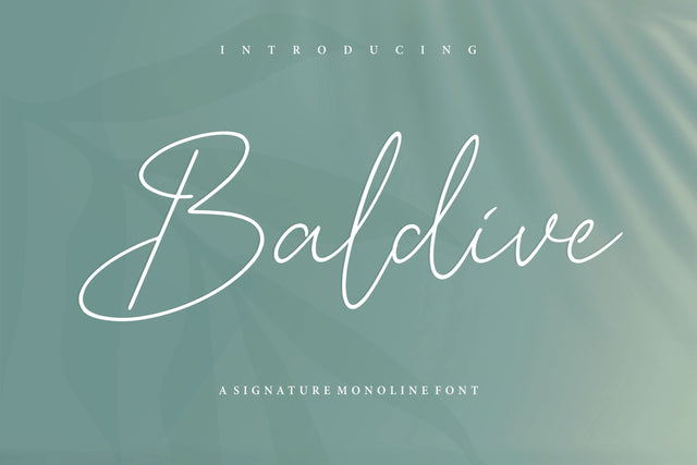 Baldive Signature Monoline Font Font Balpirick 