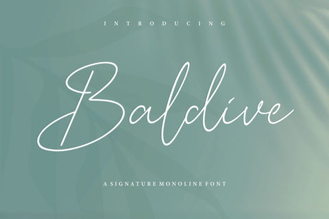 Baldive Signature Monoline Font Font Balpirick 