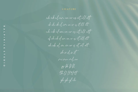 Baldive Signature Monoline Font Font Balpirick 