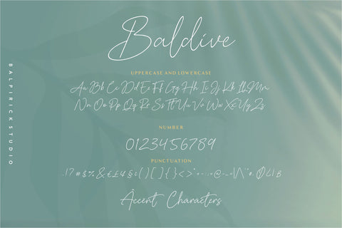 Baldive Signature Monoline Font Font Balpirick 