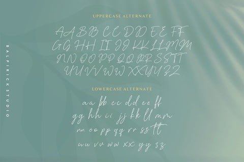 Baldive Signature Monoline Font Font Balpirick 