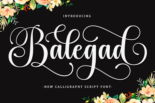 Balegad Script Font Font BungStudio 