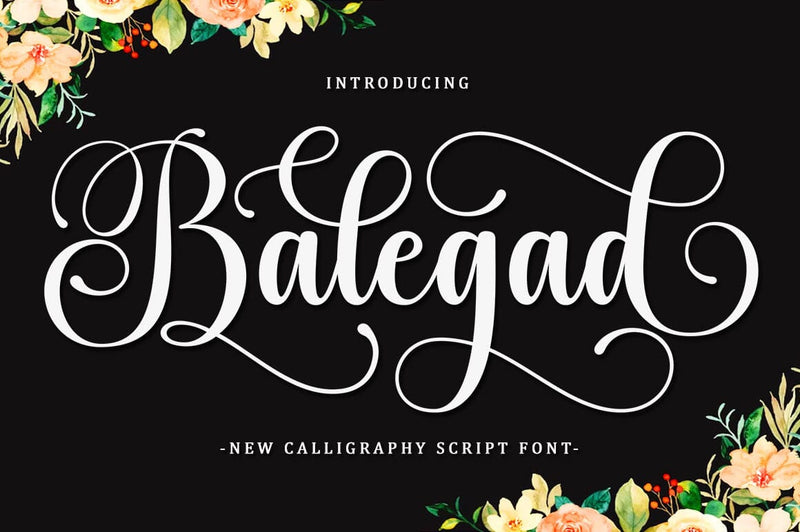 Balegad Script Font Font BungStudio 
