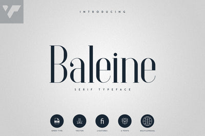Baleine - Serif Typeface | 4 weights Font VPcreativeshop 