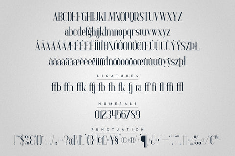Baleine - Serif Typeface | 4 weights Font VPcreativeshop 