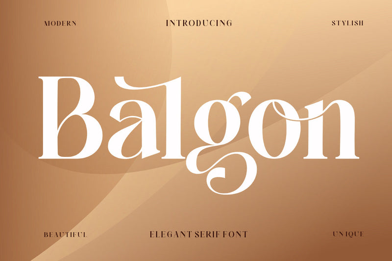 Balgon Serif (3 Fonts) Font Poen1983 