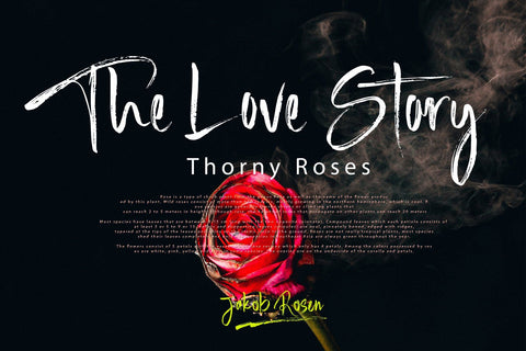 Balicot Sweet Font Sulthan studio 