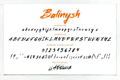 Balinysh Natural Brush Handwritten Font Creatype Studio 