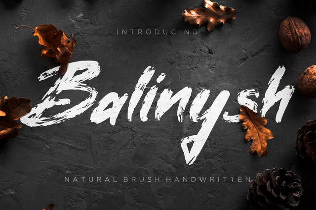 Balinysh Natural Brush Handwritten Font Creatype Studio 