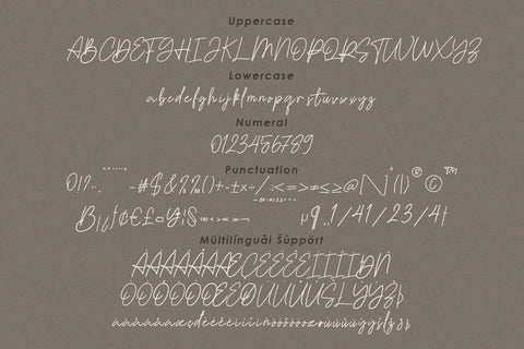 BalIqis Script Font Font Balevgraph Studio 