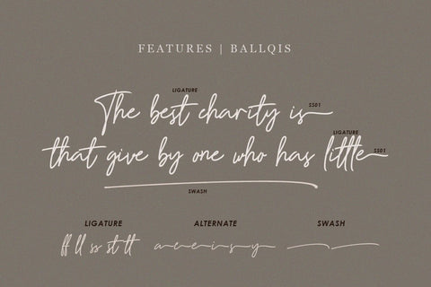 BalIqis Script Font Font Balevgraph Studio 