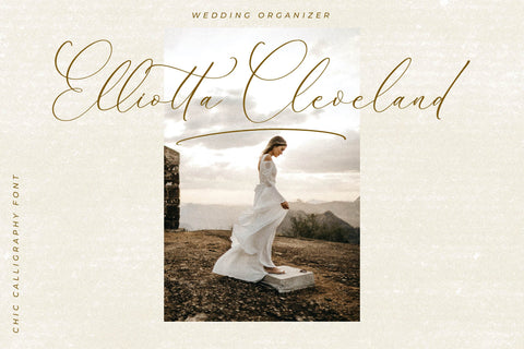 Balleryna Charlote - Chic Calligraphy Font Font Storytype Studio 