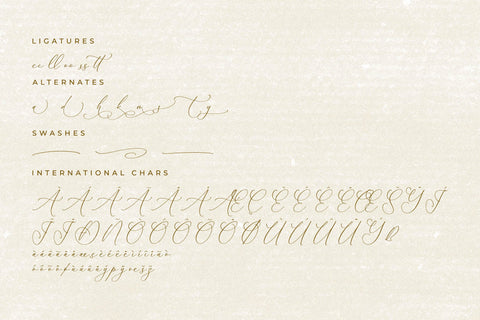 Balleryna Charlote - Chic Calligraphy Font Font Storytype Studio 