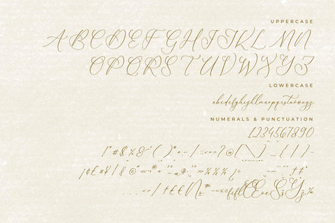 Balleryna Charlote - Chic Calligraphy Font Font Storytype Studio 