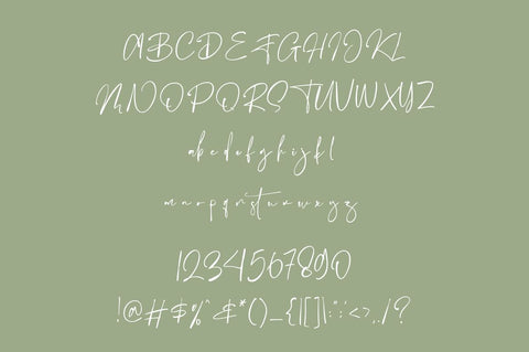 Ballison – Script Font Font Vultype Co 