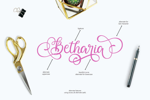 Ballita Script Font Holydie Studio 