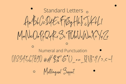 Ballpoint Rush - Handwritten Font Font Motokiwo 