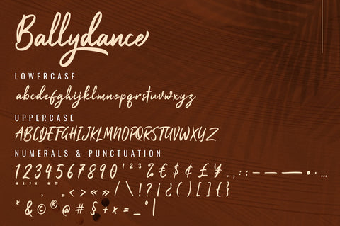 Ballydance - Handwritten Script Font Font Ibey Design 