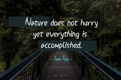 Ballyst Font twinletter 