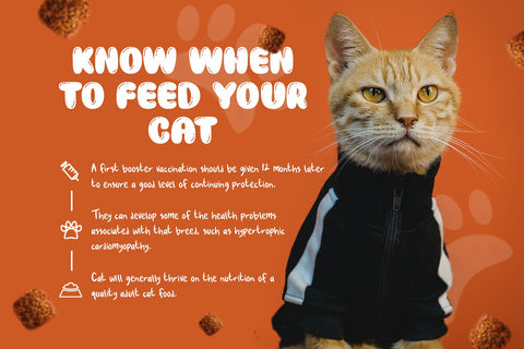 Baloon Everyday - Layered Font Font Arterfak Project 