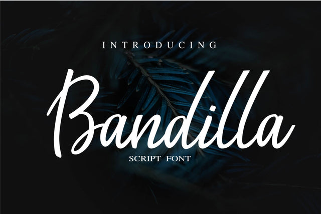 Bandilla script Font Chamsae Studio 