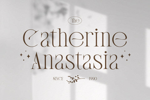 Banery - Modern Serif Font Arterfak Project 