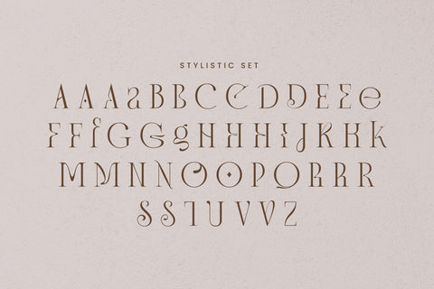 Banery - Modern Serif Font Arterfak Project 