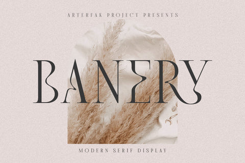 Banery - Modern Serif Font Arterfak Project 