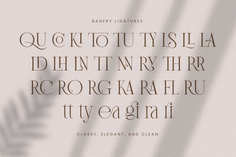 Banery - Modern Serif - So Fontsy