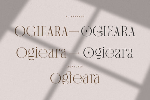 Banery - Modern Serif Font Arterfak Project 