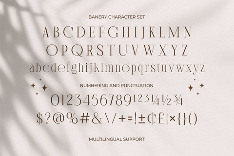 Banery - Modern Serif Font Arterfak Project 