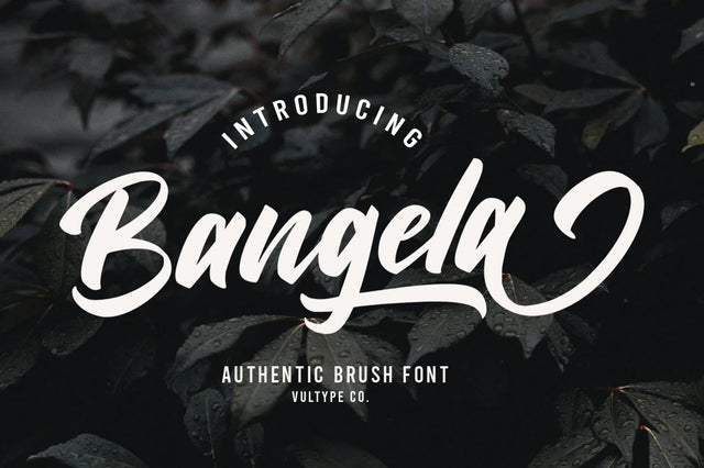 Bangela Bold Brush Font Font Vultype Co 