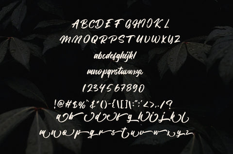 Bangela Bold Brush Font Font Vultype Co 