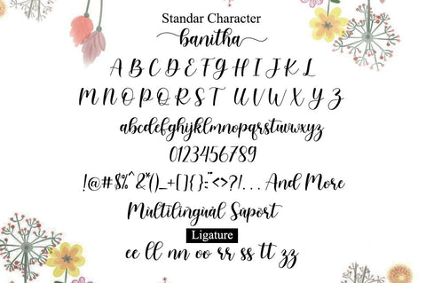 Banitha Font Manjali_Studio 