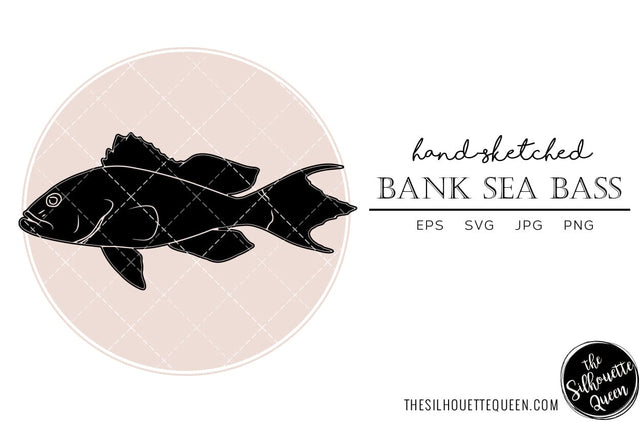 Bank Sea Bass Hand sketched, hand drawn vector clipart SVG Loveleen Kaur 
