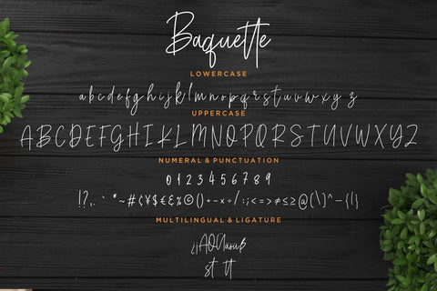 Baquette Monoline Script Font Creatype Studio 