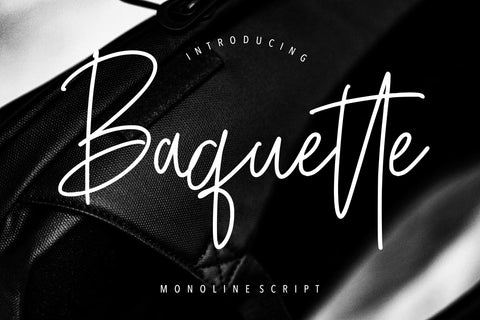 Baquette Monoline Script Font Creatype Studio 
